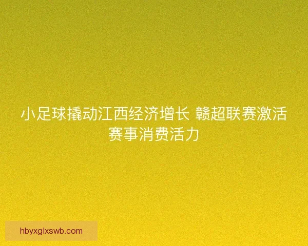 小足球撬动江西经济增长 赣超联赛激活赛事消费活力